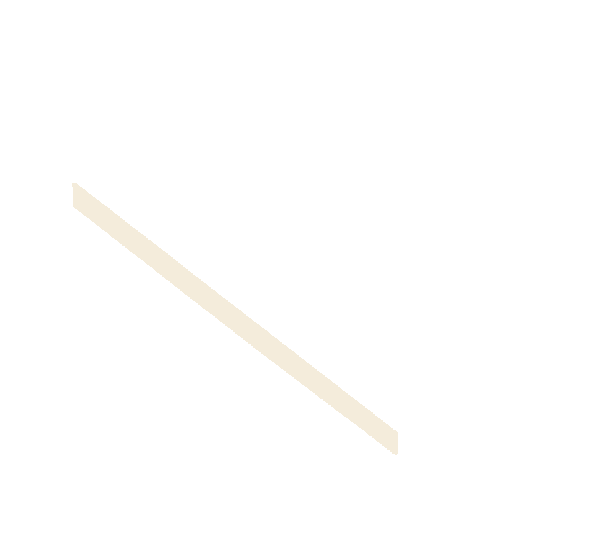 n-back